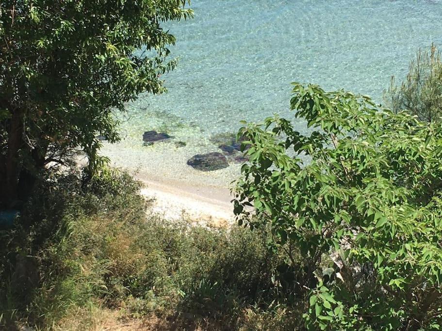 T3 Les Pieds Dans L'Eau Apartment Istres Bagian luar foto